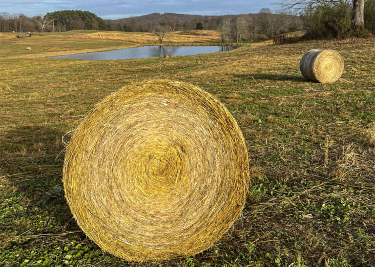 IMG_3657-2-Small-7x5